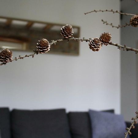 Eguzkilorea Hondarribia Bagian luar foto